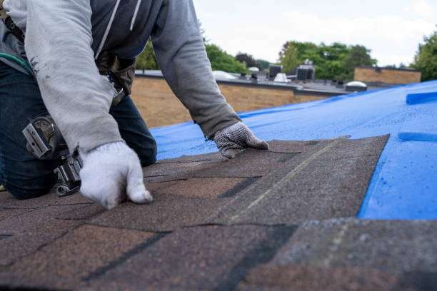Best Residential Roofing Contractor  in Keokuk, IA