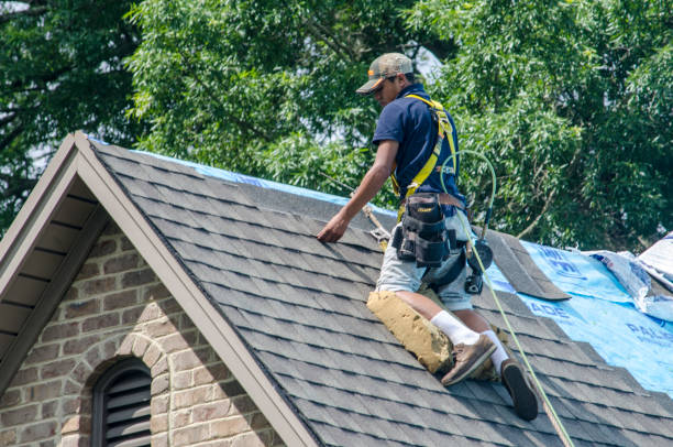 Best Roof Maintenance Services  in Keokuk, IA